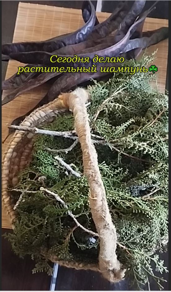 Растительный природный натуральный шампунь