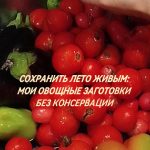 Сохранить лето живым: мои овощные заготовки без консервации