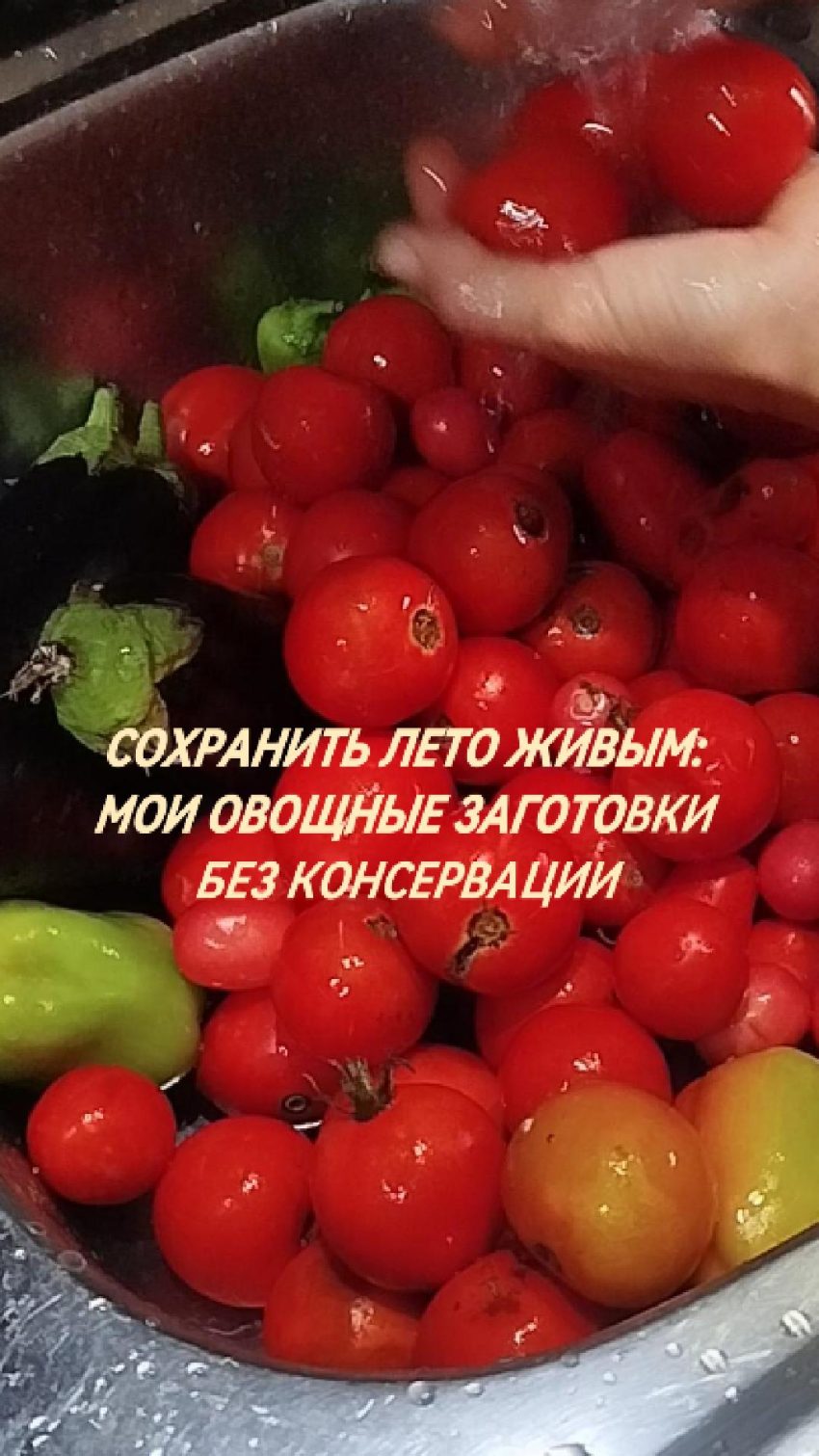 Сохранить лето живым: мои овощные заготовки без консервации + видео