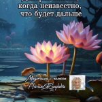 Медитация доверие жизни, когда неизвестно, что будет дальше