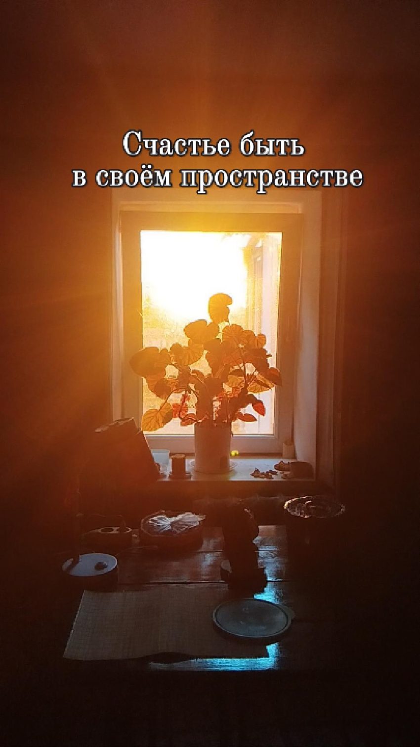 Счастье в простых вещах: как научиться ценить свою жизнь и наслаждаться собственным миром